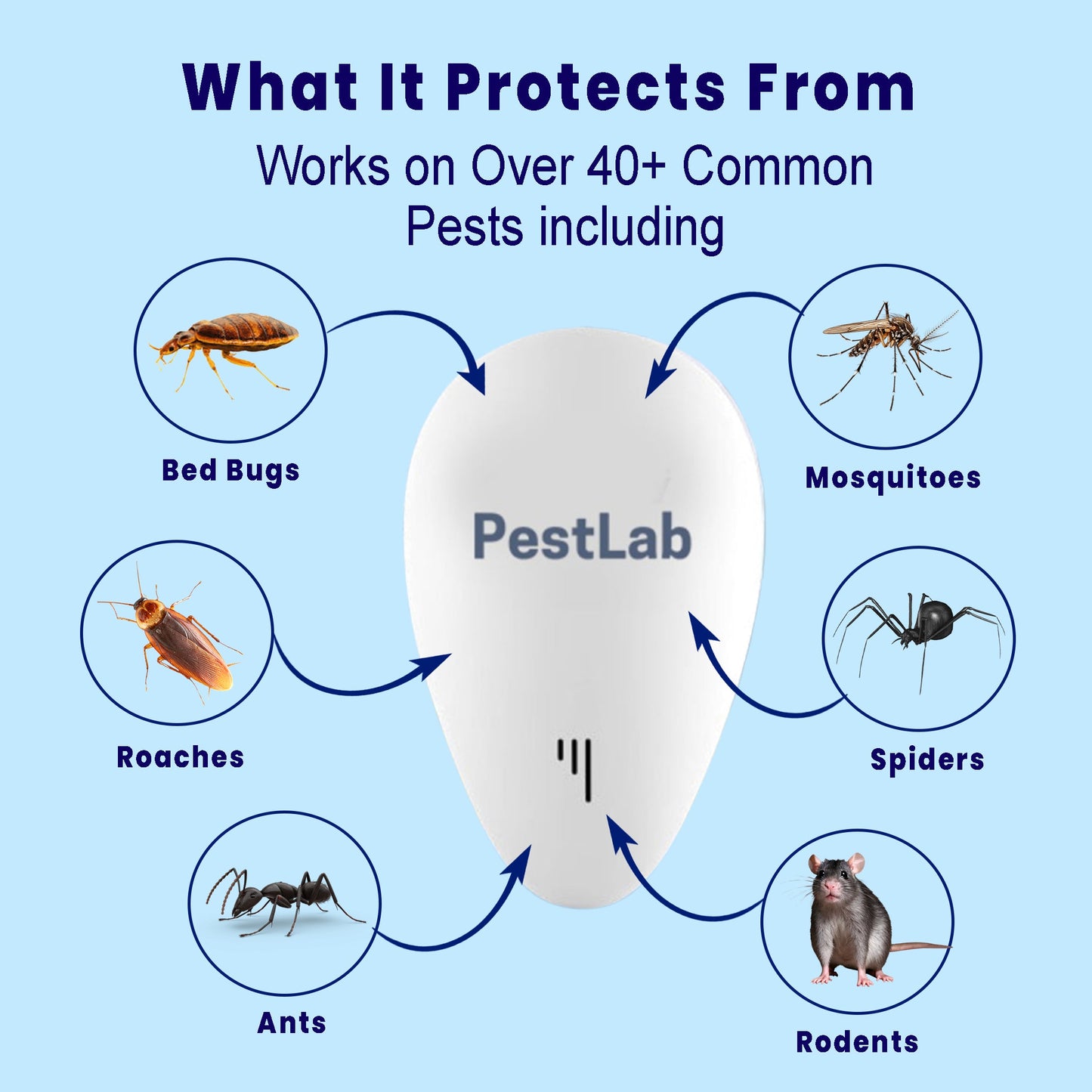 PestLab -  Banish Termites For Good