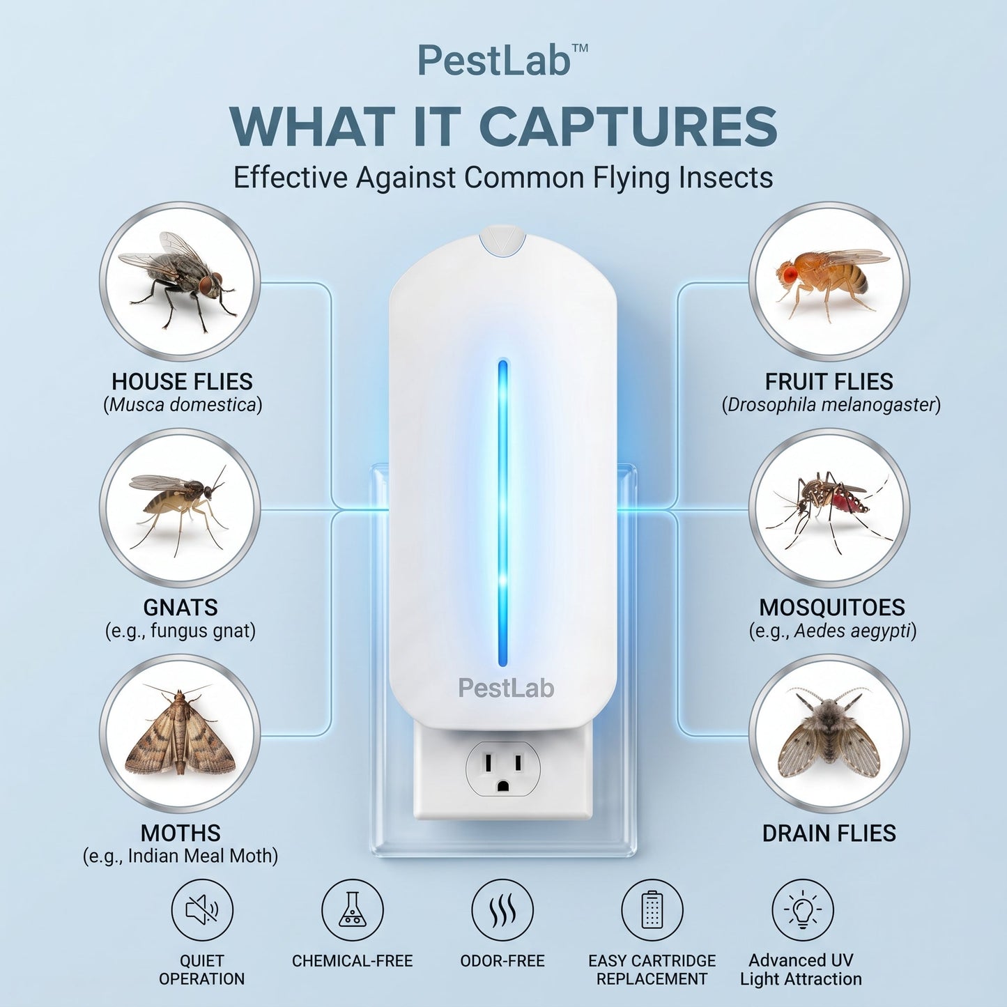 PestLab™ Flying Insect Trap